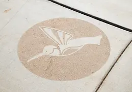 Chandler Veterans Oasis Park 20211017 05