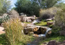 Chandler Veterans Oasis Park 20211017 25