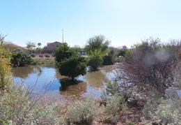 Veterans Oasis Memorial Park Chandler 20220123 01