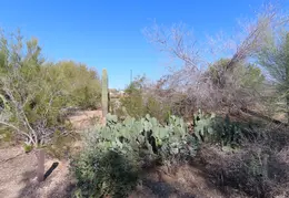 Veterans Oasis Memorial Park Chandler 20220123 06