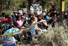 Wildcat Canyon Wildlife Show 20060423 02