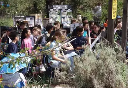 Wildcat Canyon Wildlife Show 20060423 03