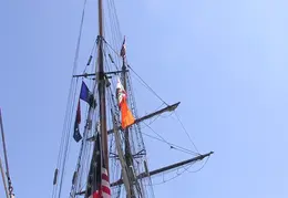 Sail San Francisco 2005