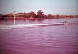 Stockton Delta Sailing 05