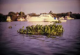Stockton Delta Sailing 17