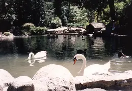 Ashland Trip 1988 001