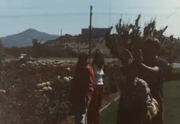 Ashland Trip 1981 001