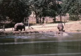 Ashland Trip 1981 006