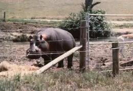 Ashland Trip 1981 007