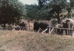 Ashland Trip 1981 015