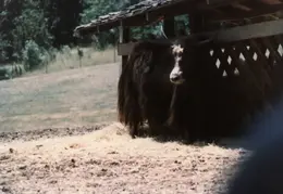 Ashland Trip 1981 017