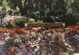 Shakespeare Festival 1981 001
