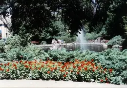 Shakespeare Festival 1981 010