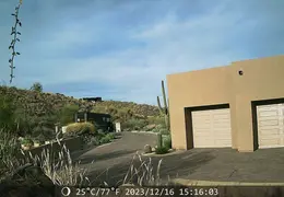 Trail Cam Pic 20231216 02