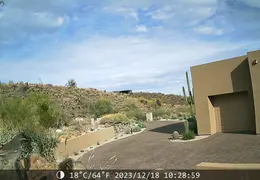 Trail Cam Pic 20231217 04