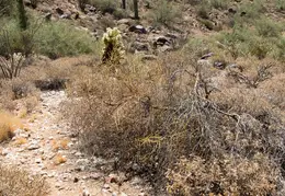 Adero Canyon 20220708 11
