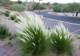 Inn at Eagle Mountain 20200812 006