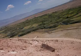 Bishop Petroglyphs August 2016 10