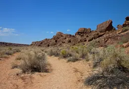 Bishop Petroglyphs August 2016 14