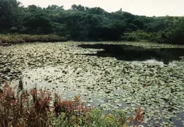 Block Island 115