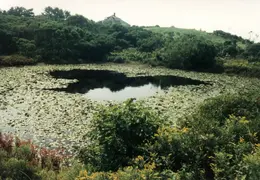 Block Island 122