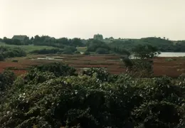 Block Island 123