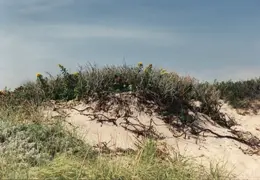 Block Island 1992 016