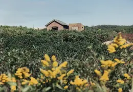 Block Island 1992 020