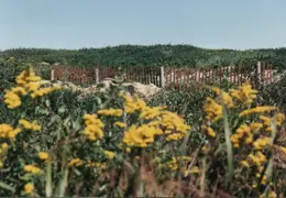 Block Island 1992 021