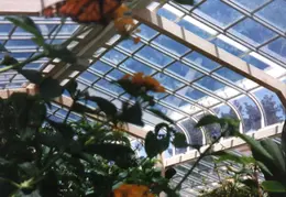 Butterfly World Vallego CA 1992 05