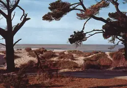 Asilomar postcard 01