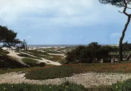 Asilomar postcard 02
