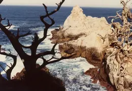 California Coastline 04