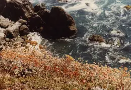 California Coastline 05
