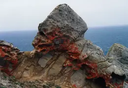 Pt Reyes Rock With Lichen
