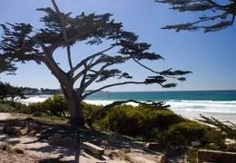 Carmel March 2014 025