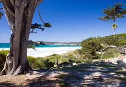 Carmel March 2014 027