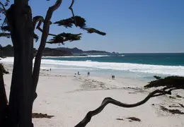 Carmel March 2014 028