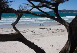 Carmel March 2014 029