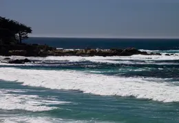 Carmel March 2014 032