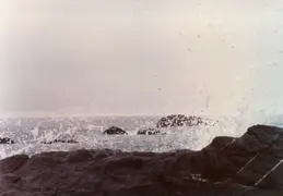 Eureka 1981 002
