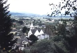 Ferndale 28