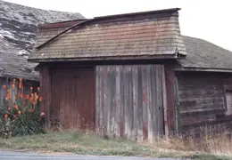 Ferndale 29