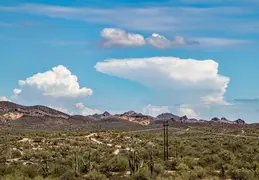 Goldfield AZ 20220730 35