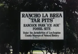 Los Angeles 003