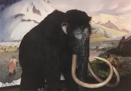 Los Angeles 004