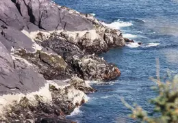 Maine 1995 014