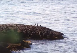 Maine 1995 025