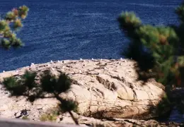 Maine 1995 037