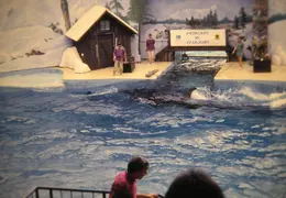 Marine World 2003 029
